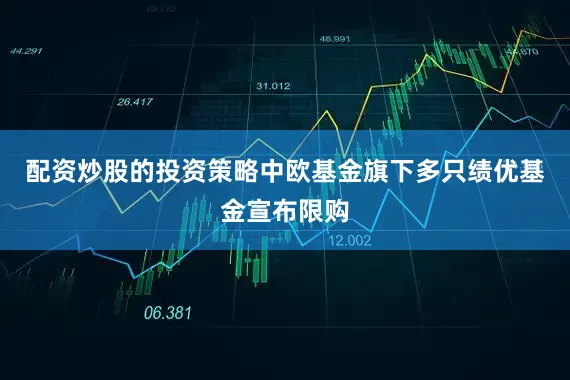 配资炒股的投资策略中欧基金旗下多只绩优基金宣布限购